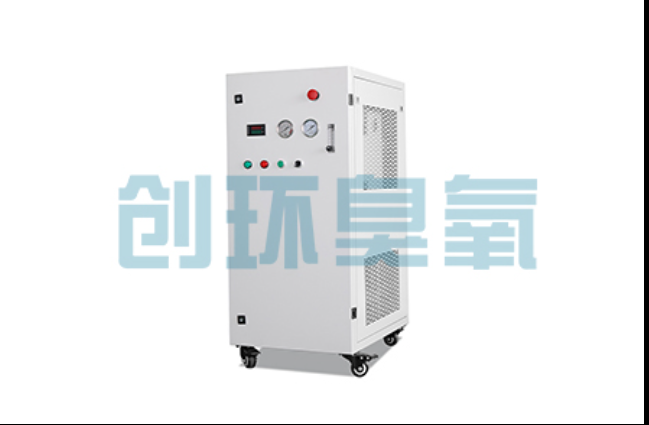 日照工厂化养鲈必看:2026年臭氧发生器替代传统消毒的最新方案
