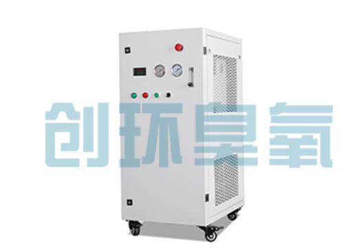 日照石斑鱼养殖水质调控完整指南:臭氧发生器配置与操作步骤