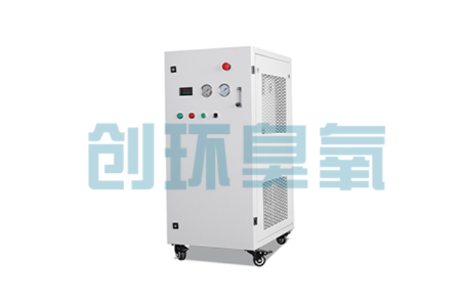 日照比传统换水更高效?臭氧发生器在石斑鱼养殖中的水质净化原理解析