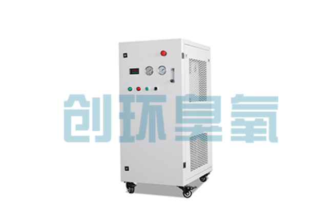 日照比传统换水更高效?臭氧发生器在石斑鱼养殖中的水质净化原理解析